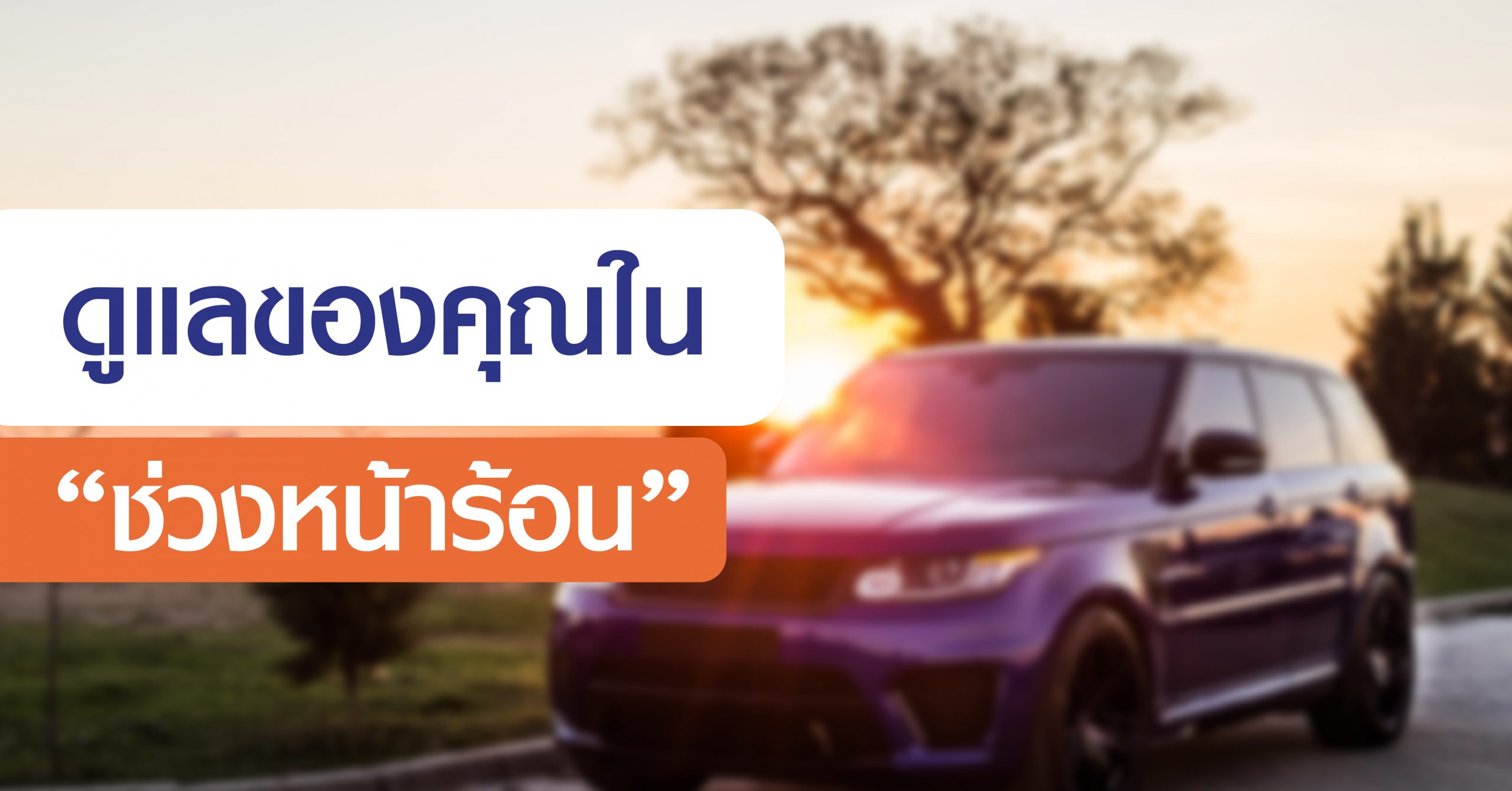 carcaresummer