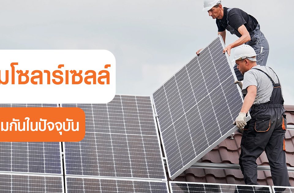 solar cellsarepopular