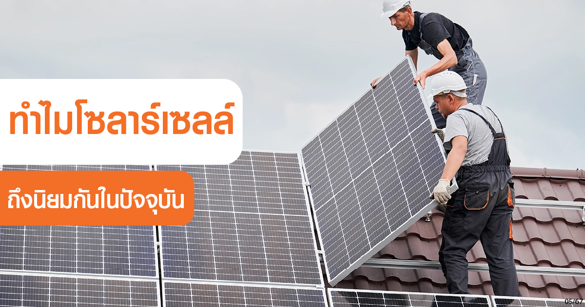 solar cellsarepopular