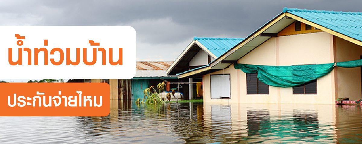 insurance policy covers flood damage