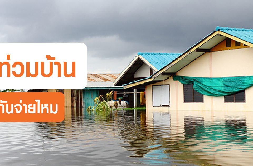 insurance policy covers flood damage