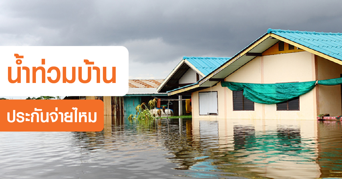 insurance policy covers flood damage